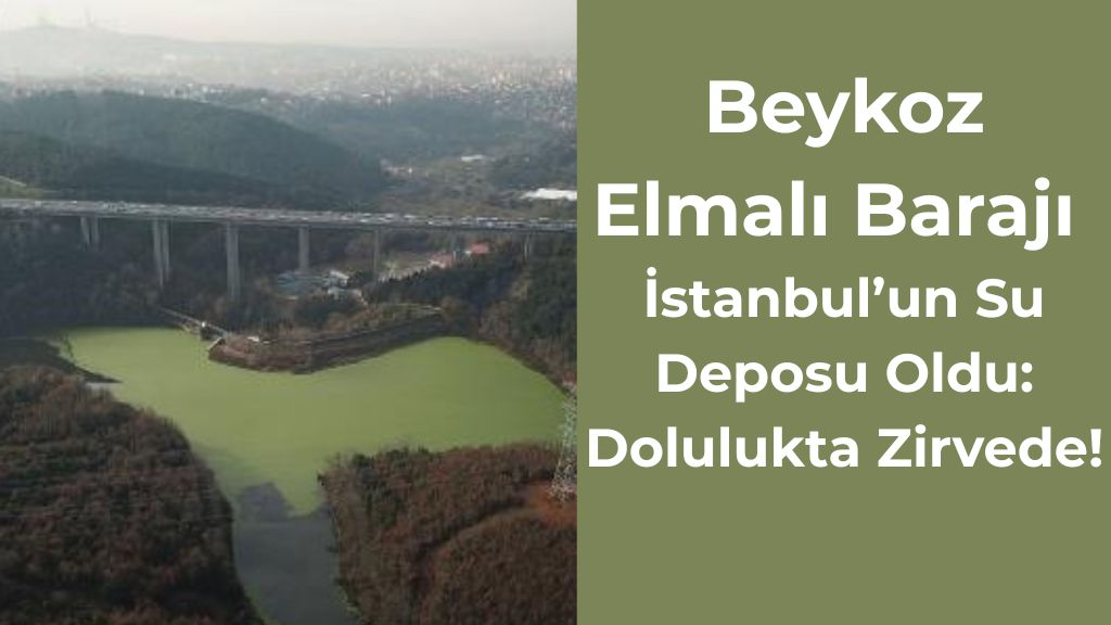 Elmalı’da Doluluk Yüzde 80’i Aştı