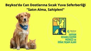 “Satın Alma, Sahiplen” Bilinci Yayılıyor