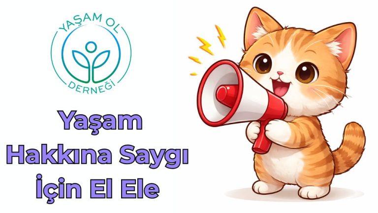 Beykoz’da Sokak Canları İçin Kısırlaştırma Seferberliği