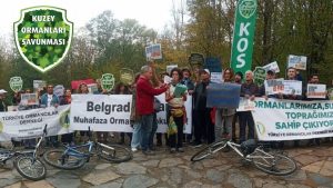 Kuzey Ormanları’nda 13 Yıllık Tahribat: İstanbul’un Yaşam Destek Sistemi Tehdit Altında