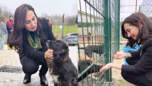 Beykoz’da İsraf Mamaya Dönüşüyor: Can Dostlar İçin Sıfır Atık Hamlesi