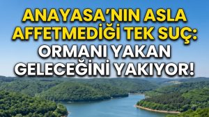 İHMAL VEYA KASIT: CEZALAR DUDAK UÇUKLATIYOR