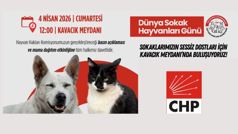4 NİSAN DÜNYA SOKAK HAYVANLARI GÜNÜ’NDE BEYKOZ’DA ANLAMLI ETKİNLİK