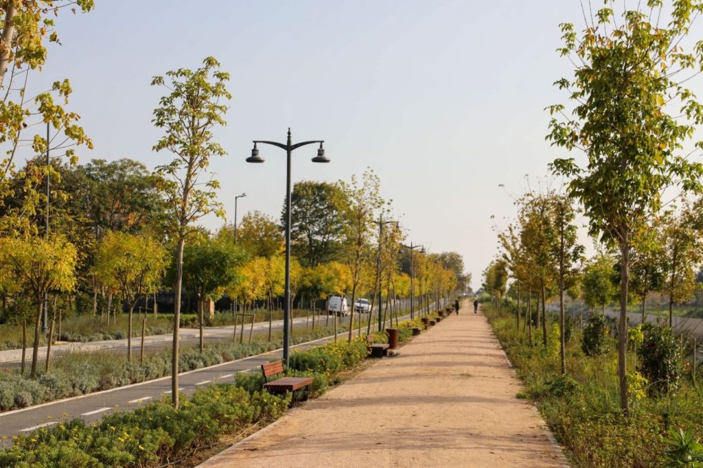 İSTANBUL’UN GURURU AYAMAMA AVRUPA’DA FİNALDE: DEV ŞEHİRLERİ GERİDE BIRAKTI!