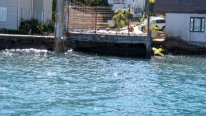 BEYKOZ SAHİLİNDE KORKULAN GÖRÜNTÜLER TARİHE KARIŞTI