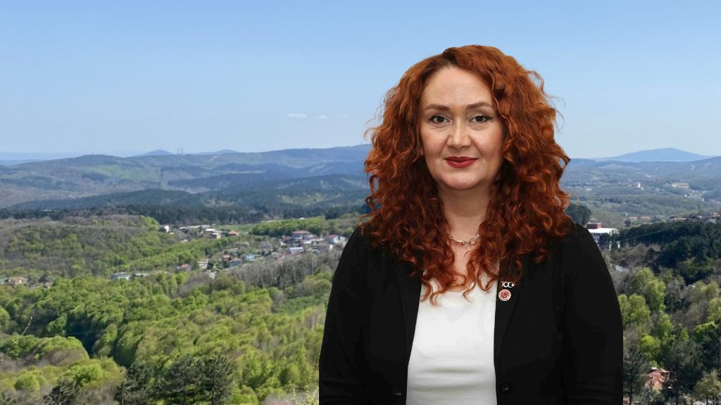 GÜLSÜM ARIKAN YILMAZ: “VATANDAŞ ÇİVİ ÇAKAMEZKEN TARIM ARAZİLERİ İMARA AÇILIYOR”