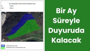 BEYKOZ DERESEKİ’DEKİ DOĞAL SİT ALANININ KORUMA STATÜSÜ YENİDEN BELİRLENDİ
