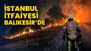 YANGIN DAYANIŞMASI