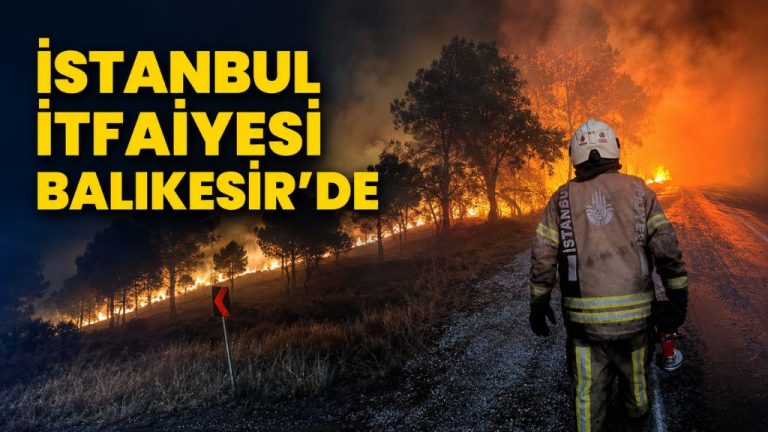 YANGIN DAYANIŞMASI