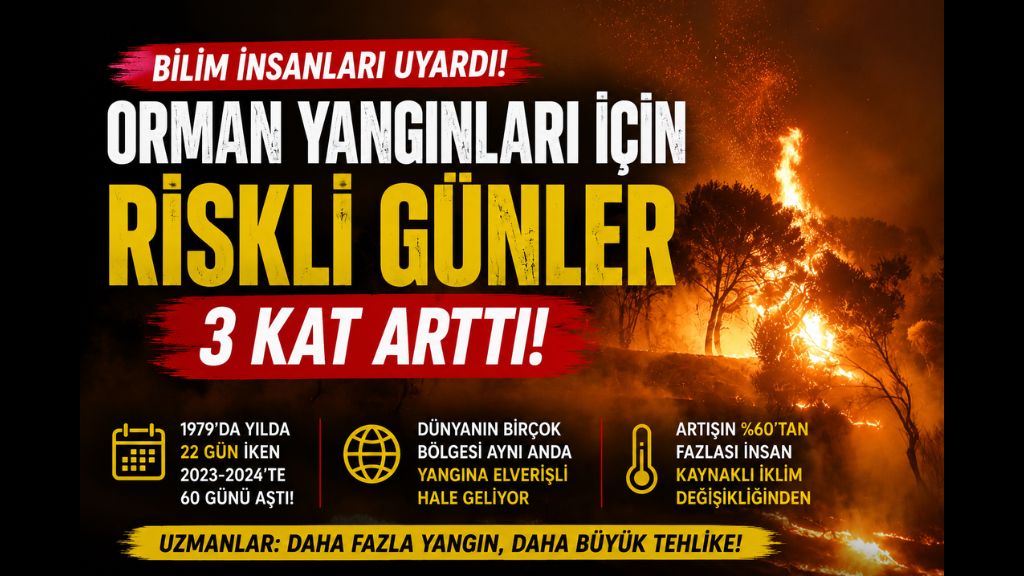 SON 45 YILDA YAŞANAN KORKUTUCU DEĞİŞİM