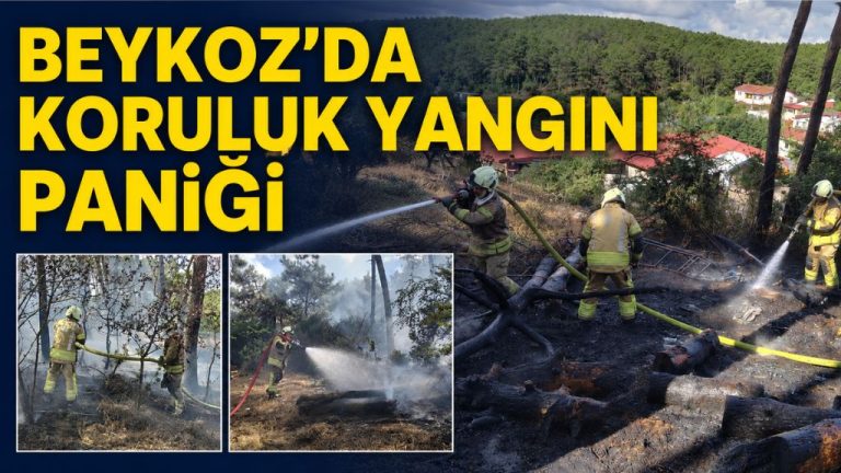 İBB EKİPLERİ BÜYÜMEDEN SÖNDÜRDÜ