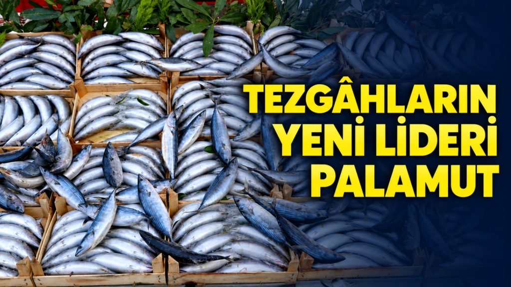 Miktar 100 Kat Arttı