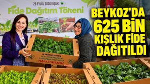 Beykoz’da üreticilere 625 bin kışlık fide dağıtıldı