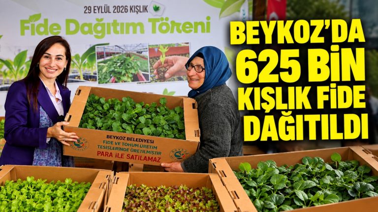 Beykoz’da üreticilere 625 bin kışlık fide dağıtıldı
