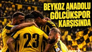 Beykoz Anadolu’da hedef Gölcükspor