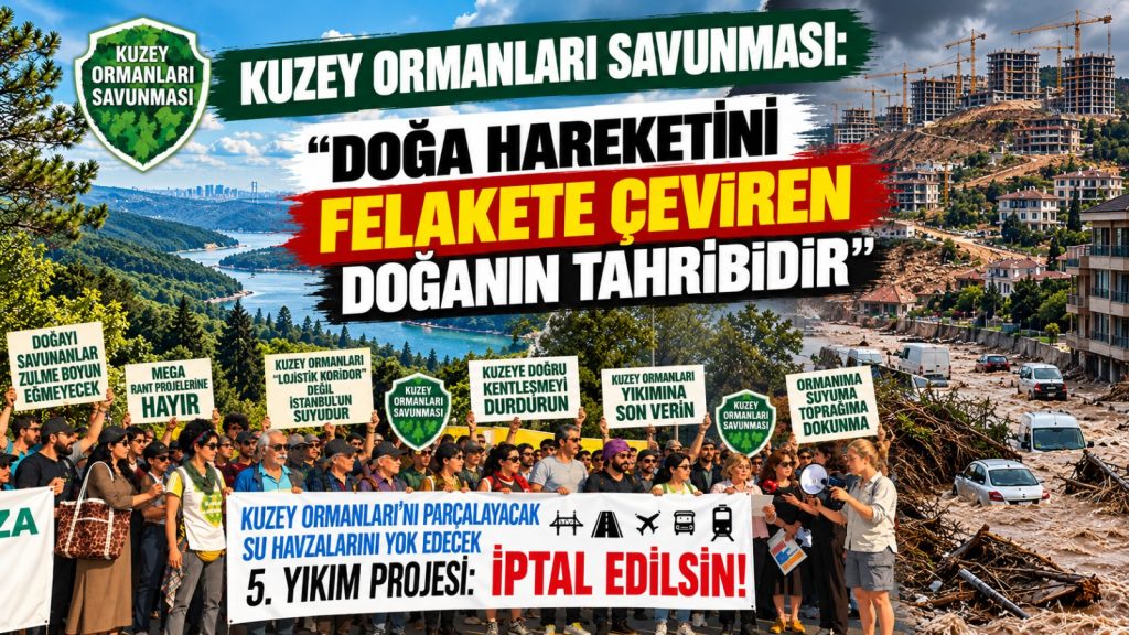 Kuzey Ormanları Savunması: “Doğa hareketini felakete çeviren, doğanın tahribidir”