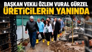 Başkan Vekili Gürzel yağıştan etkilenen üreticilerin yanında